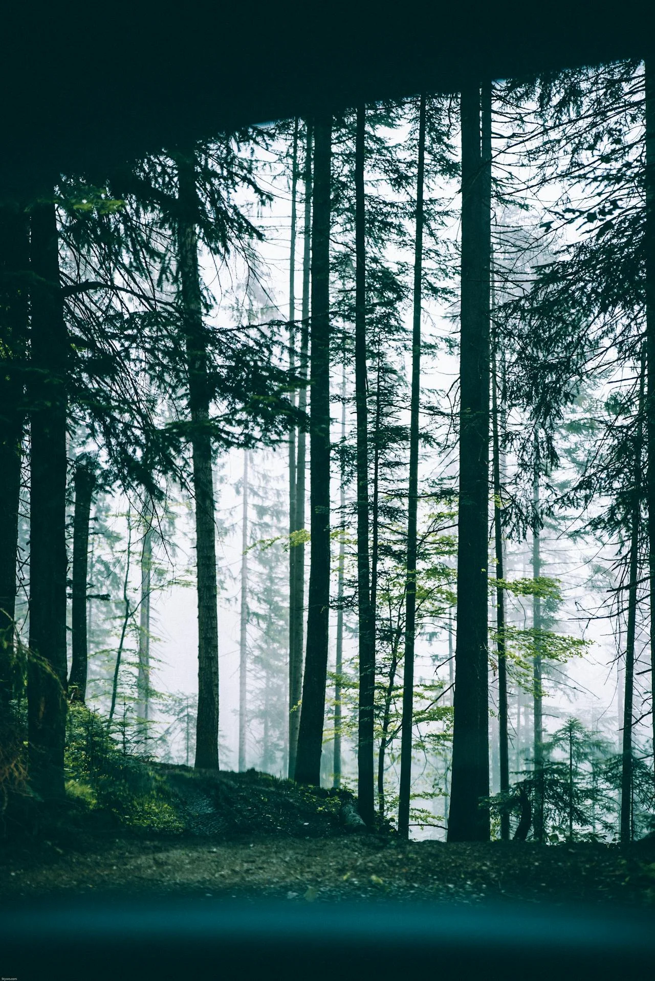pexels-stywo-1261731